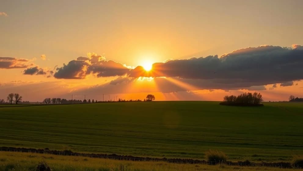 Ett jävla solsken väcker livet